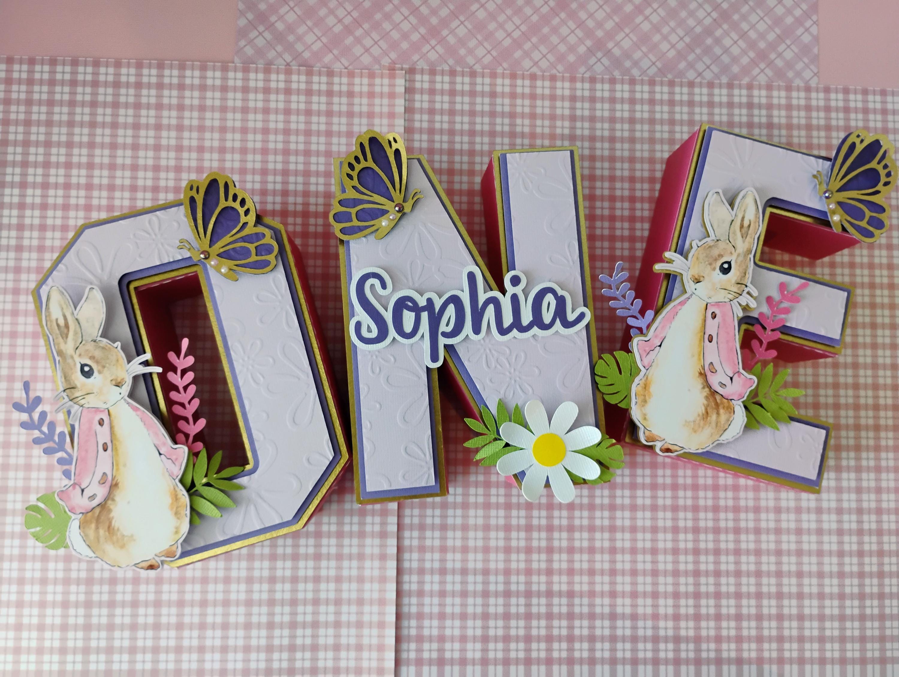 Peter Rabbit Decorations/ Peter Rabbit 1st Birthday Party / Peter ...