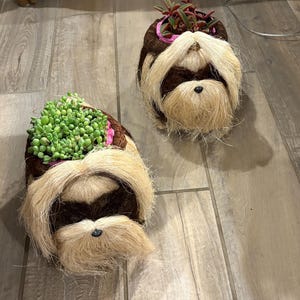 Shih Tzu Planter – Handcrafted Shih Tzu Dog Plant Basket | Coconut Coir Planter | LIKHÂ Ethical Home Decor – Succulent & Air Plant Pot Decor