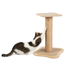 May include: A brown and beige cat scratching post with a cat scratching the post. The post is made of sisal rope and has a round base.