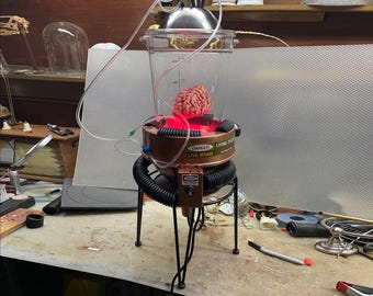 Life-like human brain floating in tank