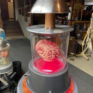 May include: A unique, vintage-style display featuring a preserved brain inside a clear glass cylinder. The brain rests on a red-lit base, with a metal dome and wooden post above. The display sits on a gray stool with a red trim.