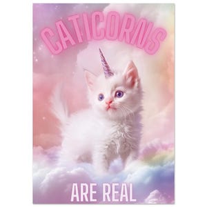 Caticorn poster A4