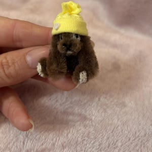 Pode incluir: Um pequeno urso de pelúcia marrom usando um chapéu de malha amarelo com um detalhe em forma de coração branco. O urso tem patas brancas e está sobre um fundo rosa macio. Um item colecionável ou decorativo charmoso e artesanal.