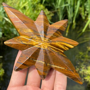 5.5&quot; Natural tiger eye jasper,quartz crystal,hand carved,Crystal North Star specimen,tiger eye North Star,Home Decoration 1pc