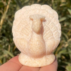 2.2&quot; Natural Crystal Jasper quartz,quartz crystal,hand carved,Crystal Peacock specimen,Crystal Jasper Peacock,Home Decoration