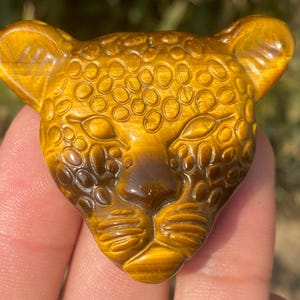 Pedra olho de tigre natural de 2&quot;, cristal de quartzo, esculpida à mão, crânio de leopardo de cristal, pedra olho de tigre leopardo, decoração para casa
