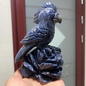6.3&#39;&#39; Natural Sodalite quartz,crystal Bird,quartz crystal,hand carved,Bird skull,Home Decoration 1pc