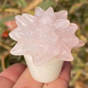 1.8 "Cuarzo rosa natural, cristal de cuarzo, tallado a mano, espécimen de calavera de flor de cristal, flor de cristal rosa, decoración del hogar