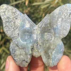 3.1&quot; Natural labradorite quartz,quartz crystal,hand carved,Crystal Butterfly skull,labradorite Butterfly,Home Decoration