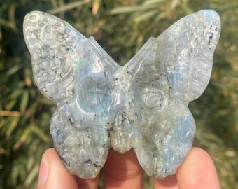 Hand Carved Labradorite Butterfly Quartz Crystal: Home Decor (3.1")