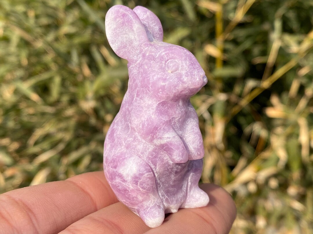 Hand Carved Purple Mica Quartz Rabbit: Crystal Home Decor - Etsy