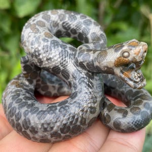 2.8&#39;&#39; Natural Leopard print stone,crystal Snake,quartz crystal,hand carved,Snake skull,Home Decoration 1pc