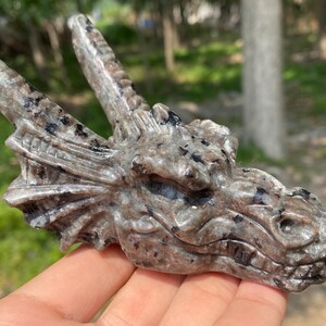 2.5&#39;&#39; Natural Yooperlite Stone,crystal Dragon,quartz crystal,hand carved,Dragon skull,Home Decoration 1pc