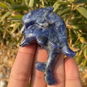 Natural sodalite quartz,quartz crystal,hand carved,Crystal dolphin specimen,sodalite dolphin,Home Decoration