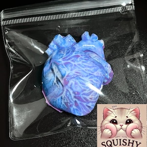 May include: A blue and purple anatomical heart-shaped squishy toy is sealed in a clear plastic bag. The toy has detailed veins and a textured surface. A small square graphic of a cute cat with the text "Squishy Mochi Co." is in the lower right corner.
