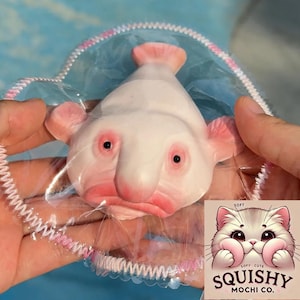 May include: A white and pink blobfish squishy toy held in a clear plastic heart-shaped container with a pink and white trim. The toy has black eyes and a sad expression. The image includes a logo with a cartoon cat.