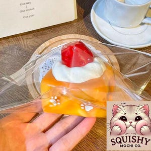 May include: An orange mochi pastry with a white cream topping and a red, jewel-like garnish, packaged in clear plastic. The pastry has paw print details. The "Squishy Mochi Co." logo is visible. The text "One day / One month / One year" is also visible.
