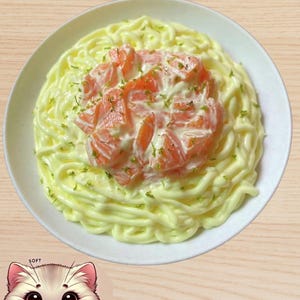 Creamy Salmon Pasta Squishy Toy Series - Realistic Food-Inspired Stress Toys, Soft and Dense Texture| Food Inspired Fidget Toy