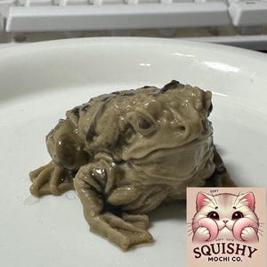 May include: A detailed, light brown frog-shaped mochi sits on a white plate. The mochi has a textured surface and is surrounded by small droplets of liquid. A "Squishy Mochi Co." logo with a cute cat is in the bottom right corner.