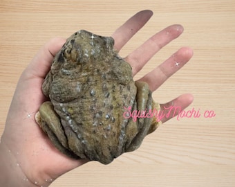 Handmade Hand-Painted Frog Squishy – Cute & Scented Stress Relief Toy /taba squishy/kawaii squishy/gifts for everyone/stress relief toys