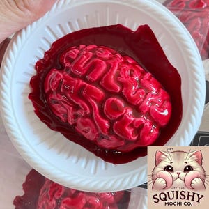 May include: A red brain-shaped squishy toy in a white plate, surrounded by red liquid. The image includes a cartoon cat logo with the text "Squishy Mochi Co."