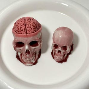 Puede incluir: Dos pequeñas figuritas de calavera de resina de color rojo. Una calavera tiene un cerebro en su interior. Las calaveras están sobre un plato blanco.