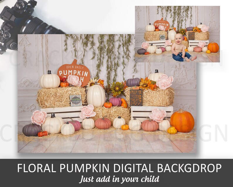 Floral Pumpkin and Hay Digital Background, Add in Your Child, Classic, Light Pink, Halloween Signs, Pumpkin Patch, Greenery image 1