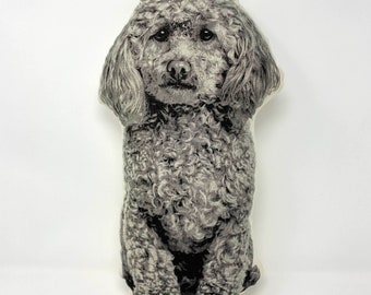 Broderpress by BroderpressShop on Etsy Custom Silkscreen Pet Pillow | Animal
