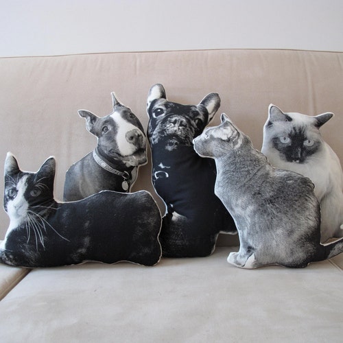 Custom Silkscreen Pet Pillow Etsy