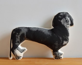 Silkscreen Dachshund Pillow