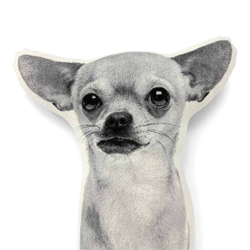 Chihuahua Pillow - Thumbnail 4