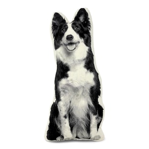 May include: Black and white border collie dog pillow. The pillow is made of soft fabric and features a realistic image of a border collie sitting with its tongue sticking out.