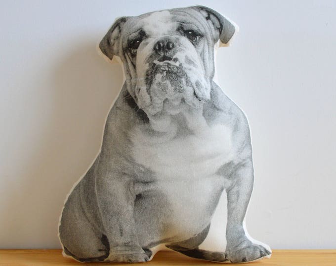 Silkscreen Bulldog Pillow