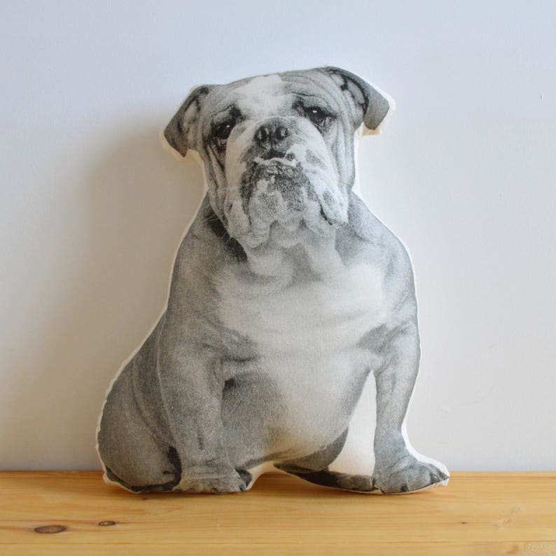 Silkscreen Bulldog Pillow image 1