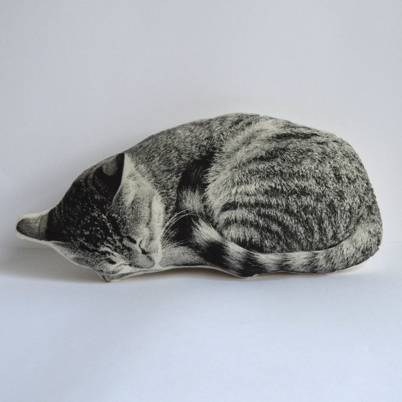 Silkscreen Sleeping Cat Pillow image 2