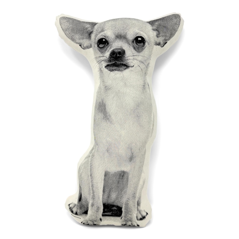 Chihuahua Pillow