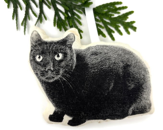 Silkscreen Black Cat Ornament