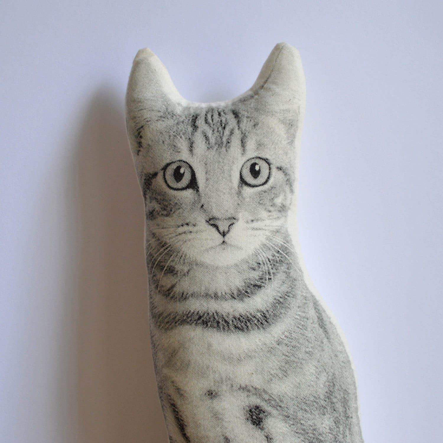 cat in pillow