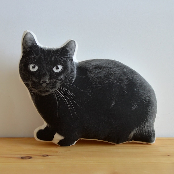 Black cat pillow hotsell