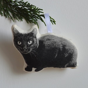 Silkscreen Black Cat Ornament