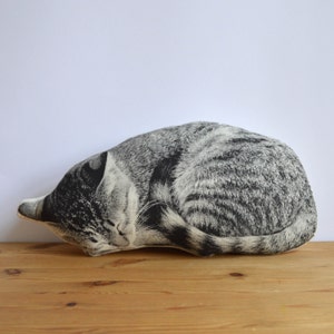 Silkscreen Sleeping Cat Pillow