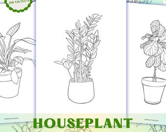 Dibujos para colorear de plantas de interior: 30 ilustraciones minimalistas de plantas (descarga digital)