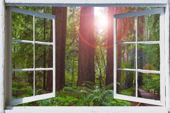 Wall Mural Open Window, Self Adhesive, Forest Window View-3 Sizes
