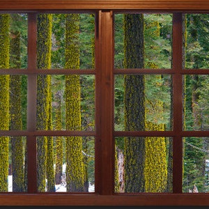 Wall mural window, self adhesive, Yosemite window view-3 sizes available-Yosemite Trees-perfect gift