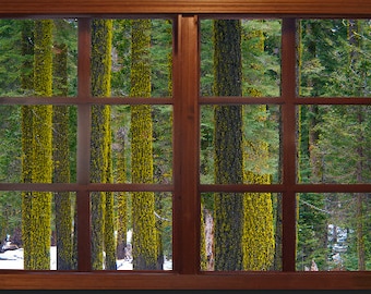 Wall mural window, self adhesive, Yosemite window view-3 sizes available-Yosemite Trees-perfect gift