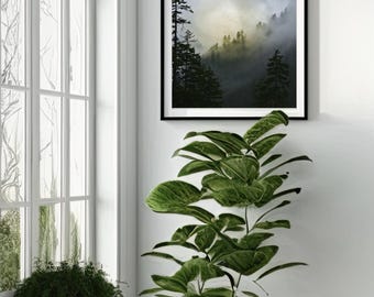 Photo Art by Anna Miller- Smoky Mountains, Tennessee