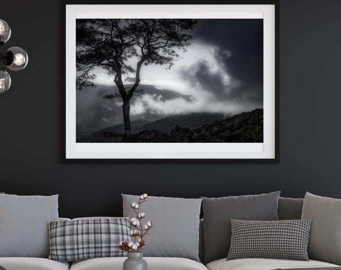 Featured listing image: Archival Print - Stormy Sky, Shenandoah National Park, Virginia, Usa