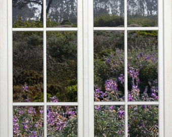Cypress Trees Window View Wall Mural, Crissy Field San Francisco (24x36)