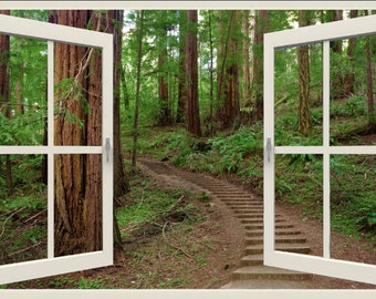 Wall mural window, self adhesive, forest window view-cream frame-California Redwoods- Muir Woods Steps