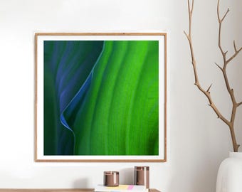 True Photographic Prints